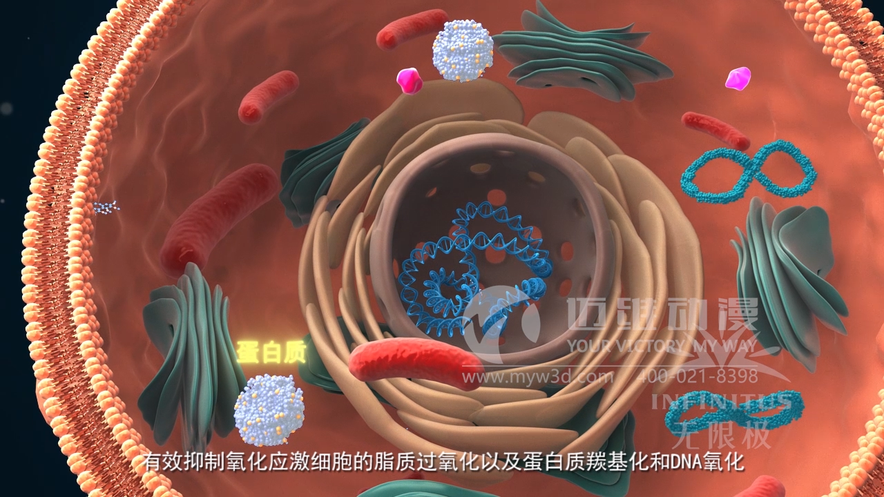 医学医疗三维动画制作公司
