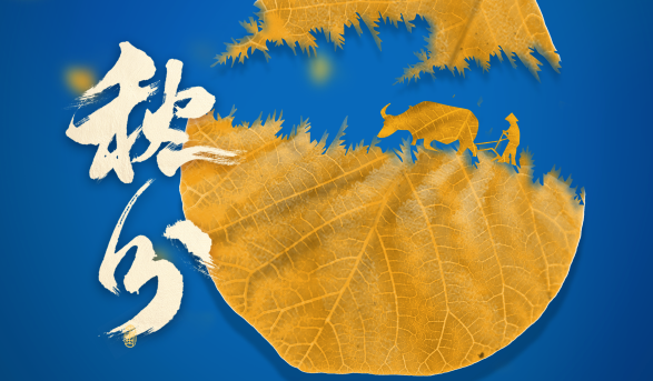迈维新闻