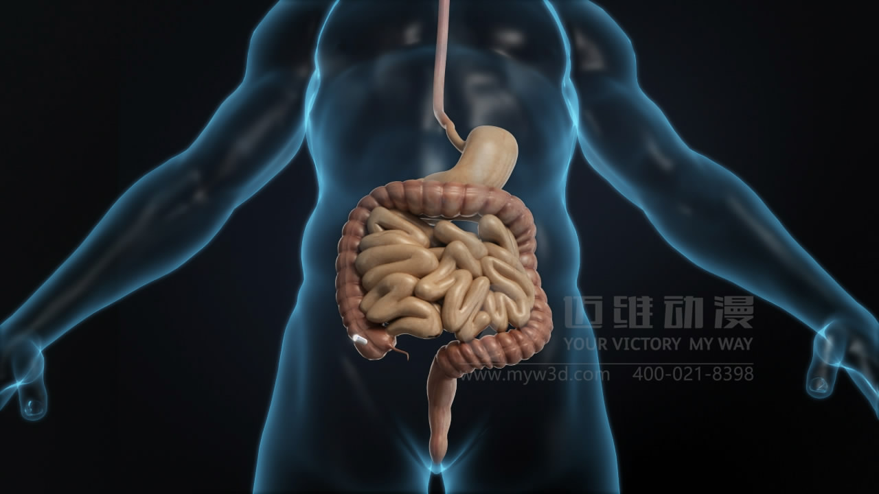 医疗医学三维动画.JPG