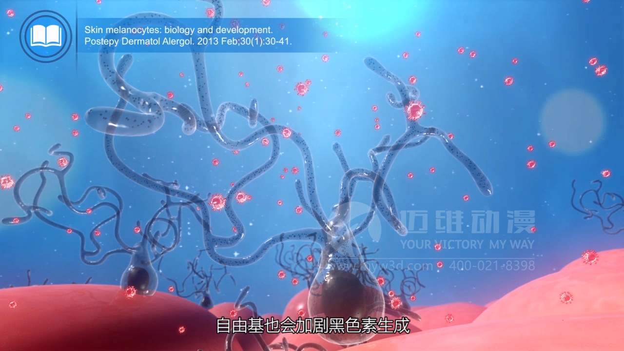 医疗三维动画.jpg