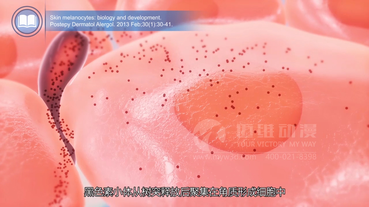 医疗三维动画.jpg