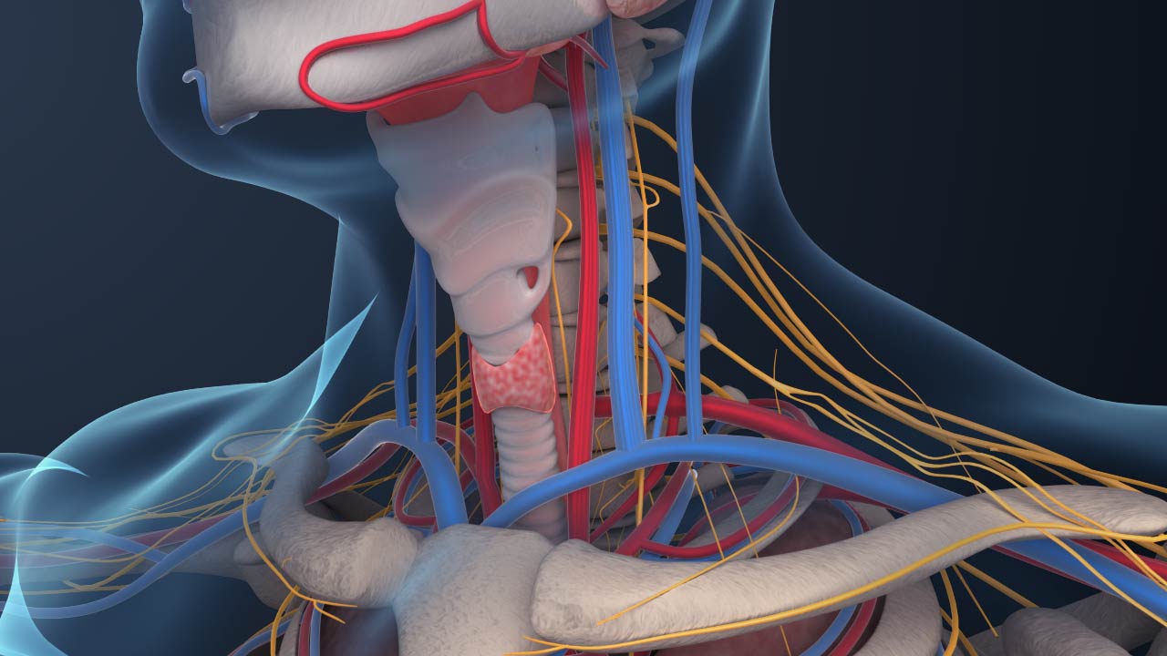 人体手术三维动画.jpg