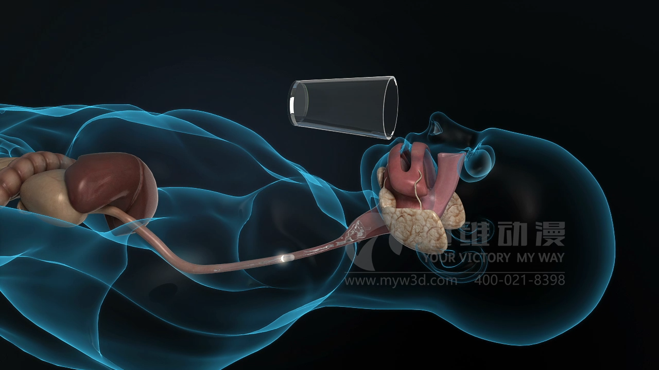 医疗三维动画.png