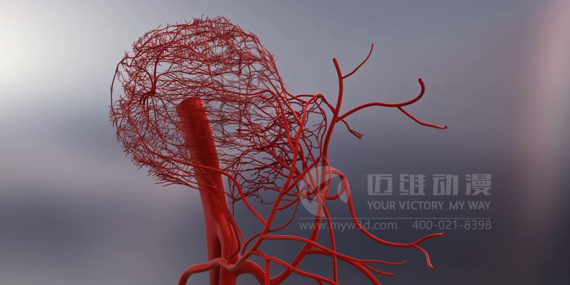 医学三维动画制作效果展示-上海三维动画制作(图1)