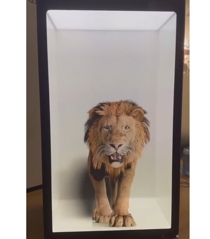 吸睛的3D全息投影带来全新的视听盛宴，这些应用领域早知道！(图1)
