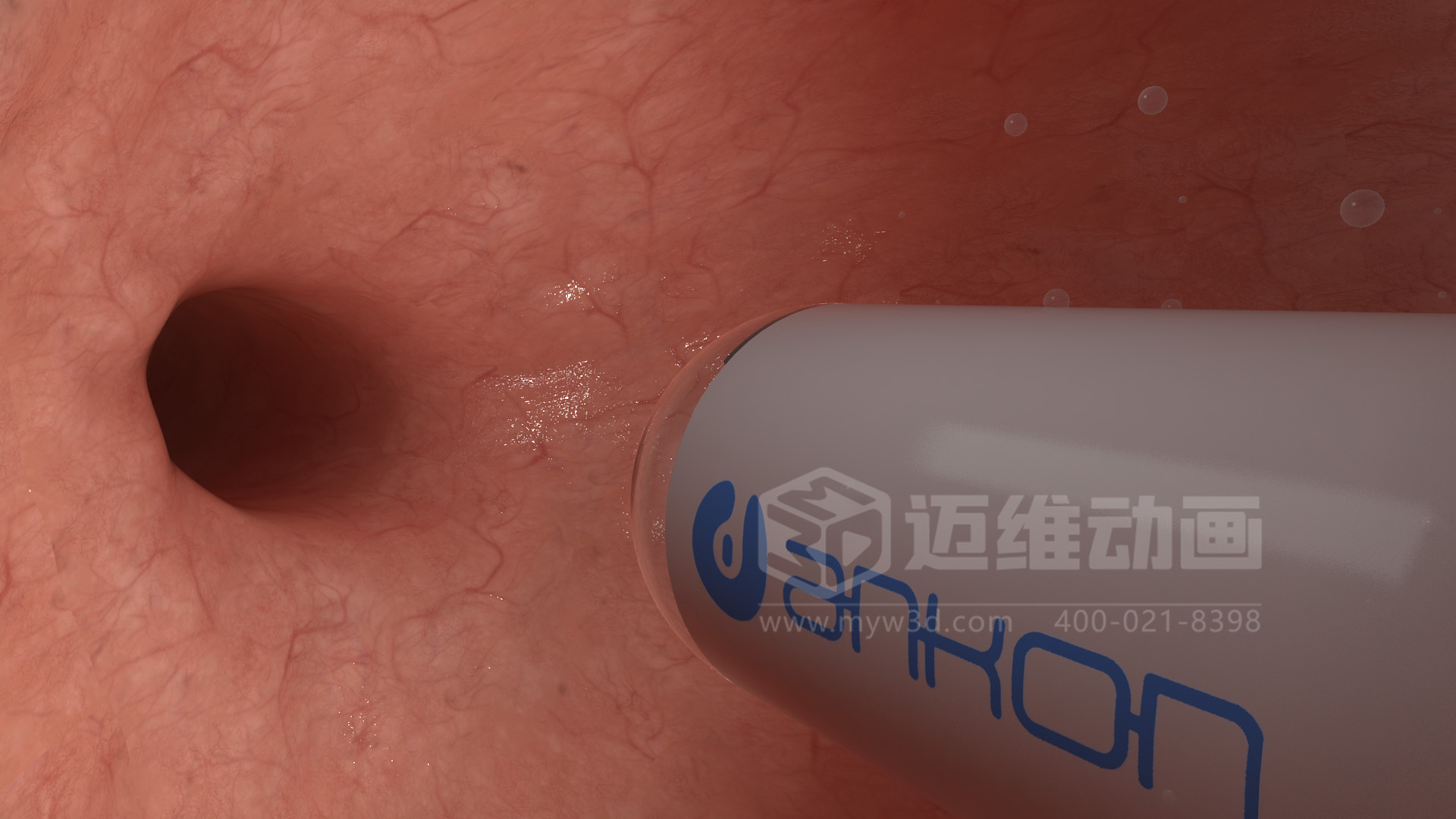 磁控胶囊机器人三维动画(图4)