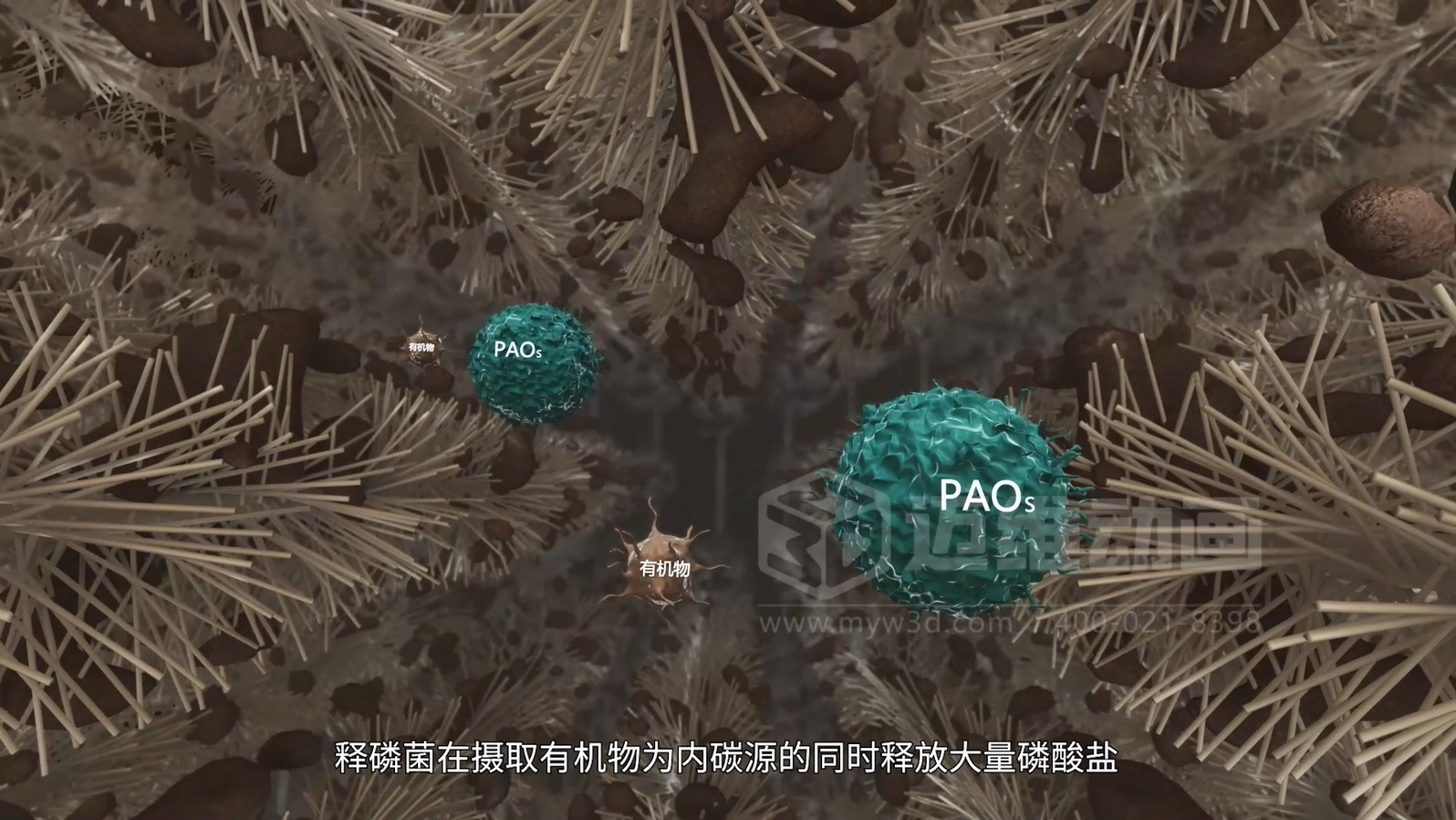 惊爆！三维动画全方位展示乡镇污水一体化处理工艺，环保企业机遇来袭(图4)