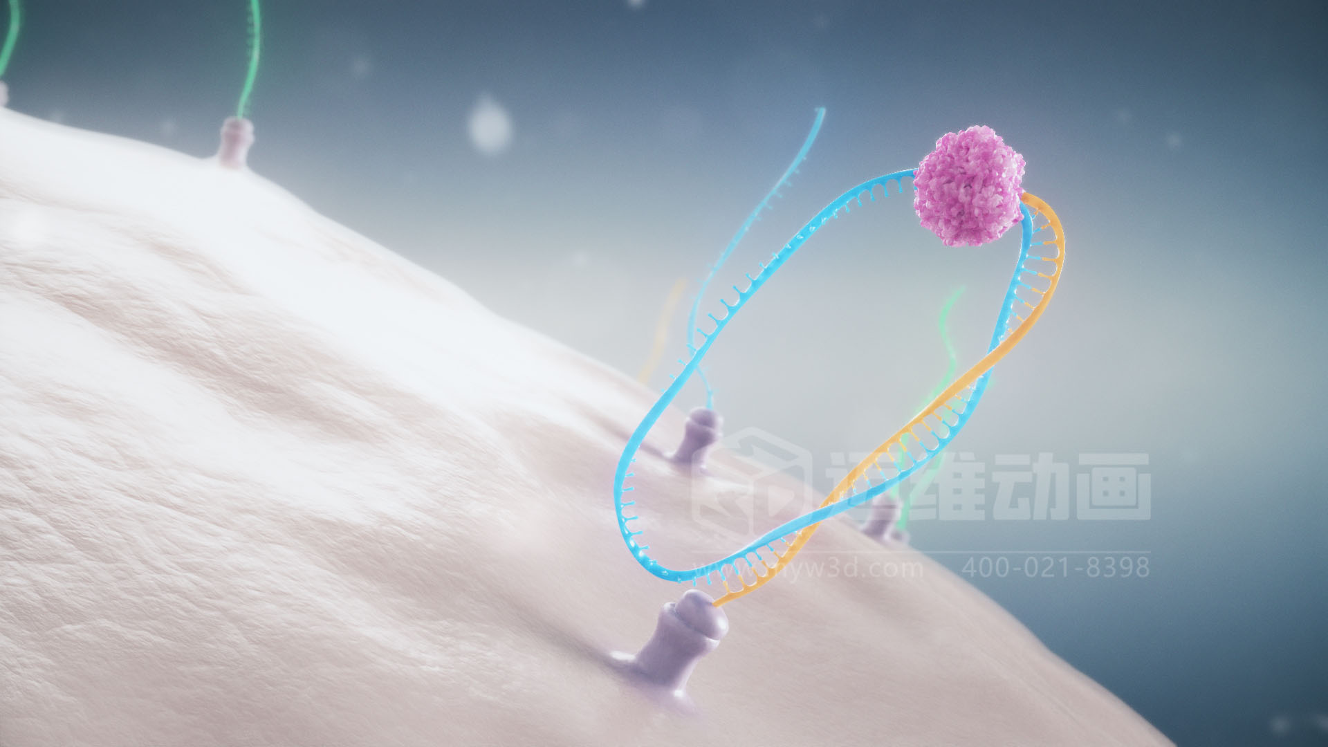 医疗分子生物学三维动画(图3)