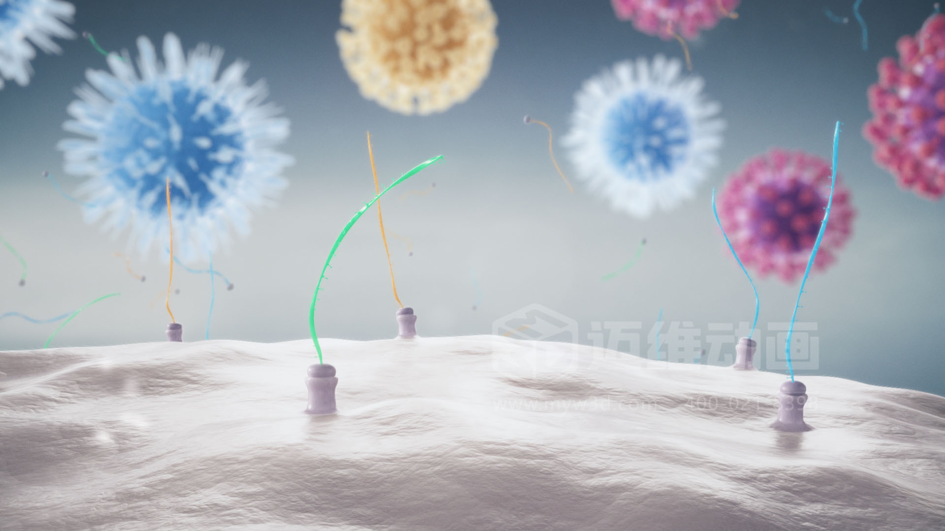 医疗分子生物学三维动画(图2)
