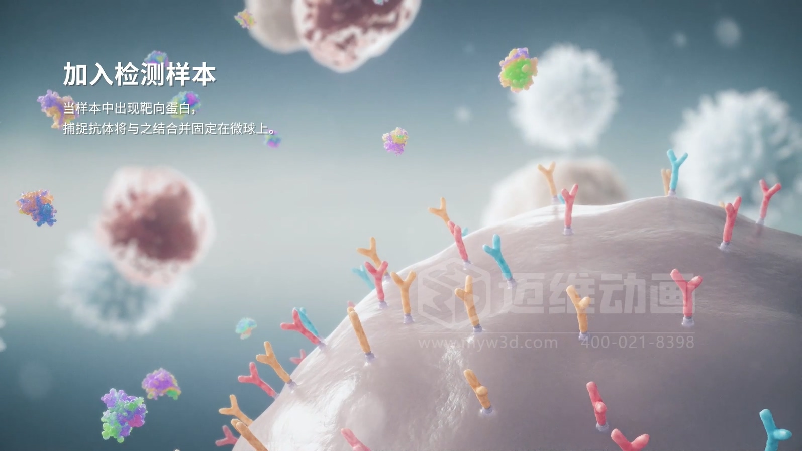 微观世界竟能“动”起来?生物科技三维动画带你沉浸式探索生命奥秘(图2) 微观世界竟能“动”起来?生物科技三维动画带你沉浸式探索生命奥秘(图2)