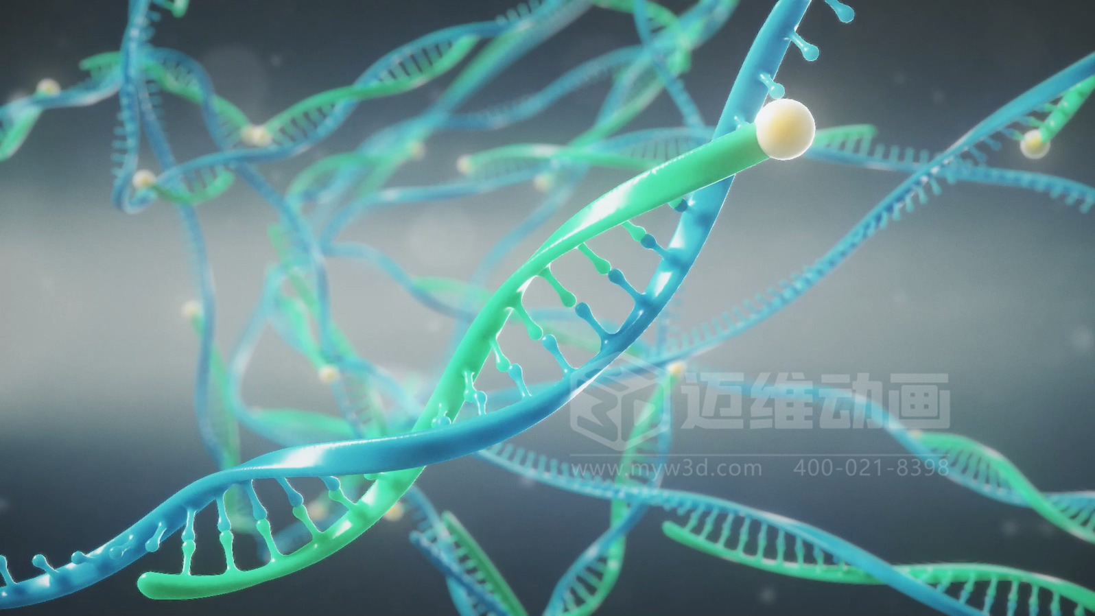 微观世界竟能“动”起来?生物科技三维动画带你沉浸式探索生命奥秘(图3) 微观世界竟能“动”起来?生物科技三维动画带你沉浸式探索生命奥秘(图3)