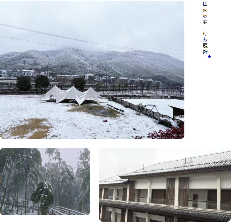 15载同行，感恩有你！2026莫干山年会的那些温暖瞬间(图9)